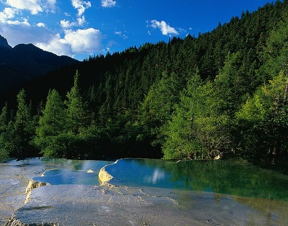 粉象生活怎么开店视频