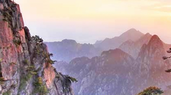 拼多多入驻粉象生活