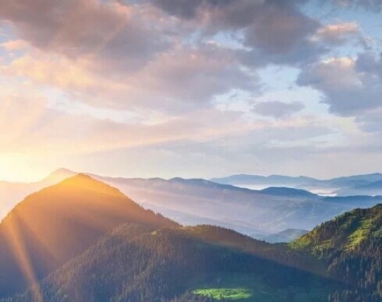 生活沙龙是什么意思