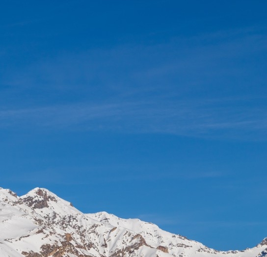 支付宝生活号怎么运营