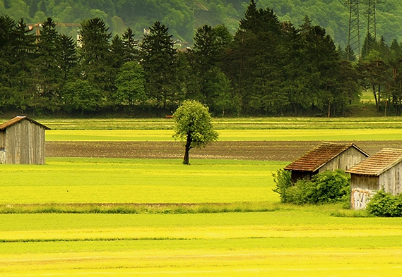 粉象生活粉丝怎么增加