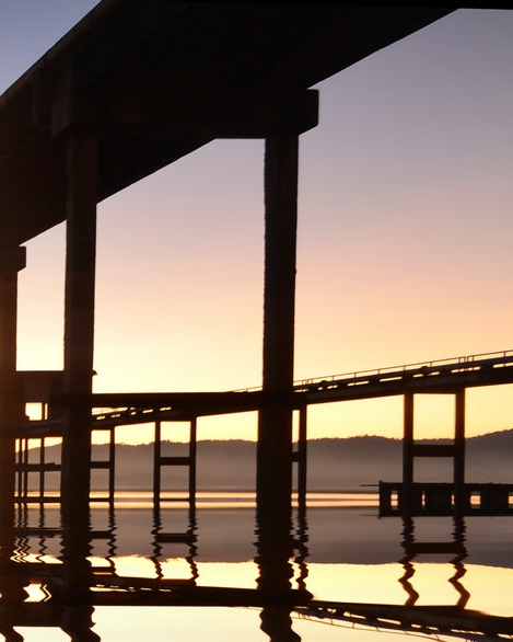 粉象生活打卡收益