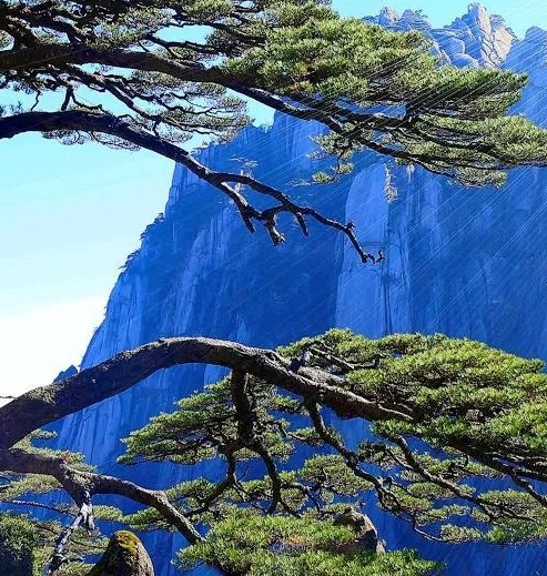 新版粉象生活下载