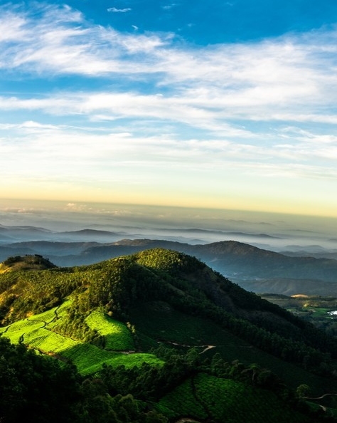 深圳粉象生活合伙人