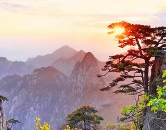 粉象生活是干嘛的