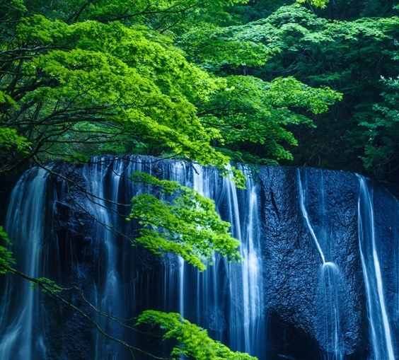 怎么入住粉象生活