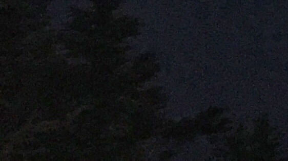 粉象生活怎么购买