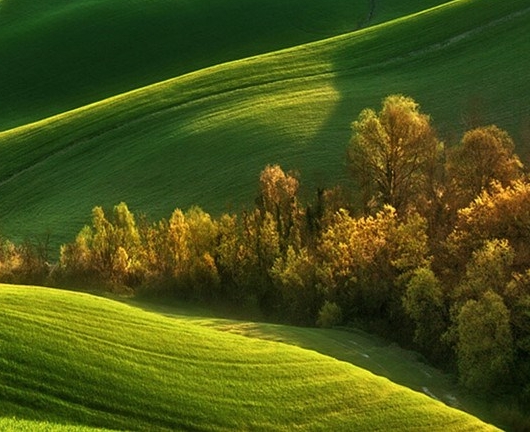 粉象生活开通会员有什么用