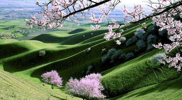 粉象生活怎么推广赚钱