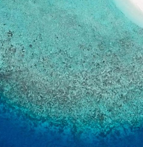 广东口碑粉象生活官网