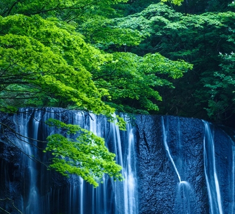 粉象生活升级太难