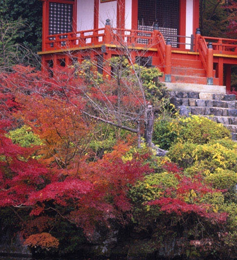 粉象生活怎么去登陆