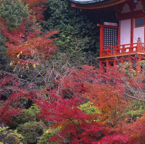 粉象生活是干嘛的APP