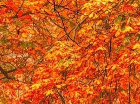 杭州粉象生活公司