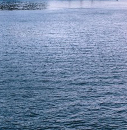 粉象生活邀请码