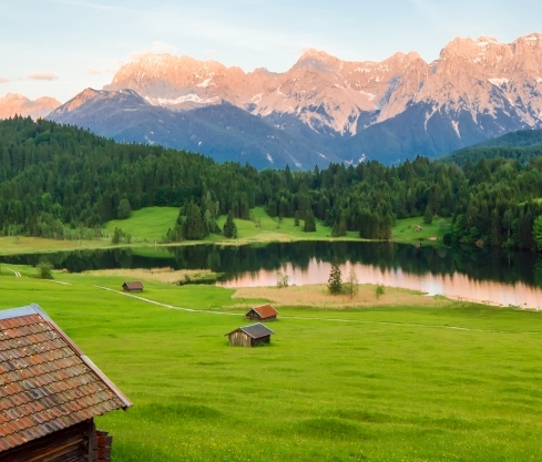 东莞粉象生活加盟代理