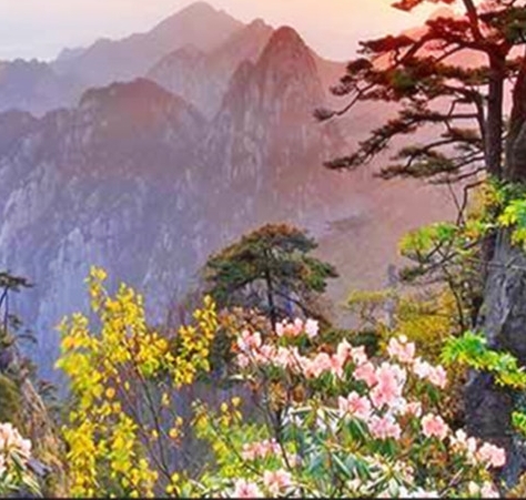 粉象生活怎么赚钱