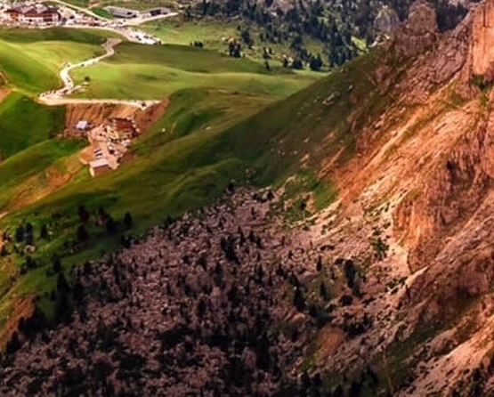 粉象生活下载app