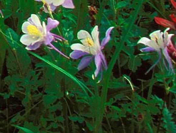 粉象生活能赚到钱吗