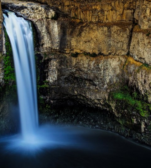 粉象生活公益直播