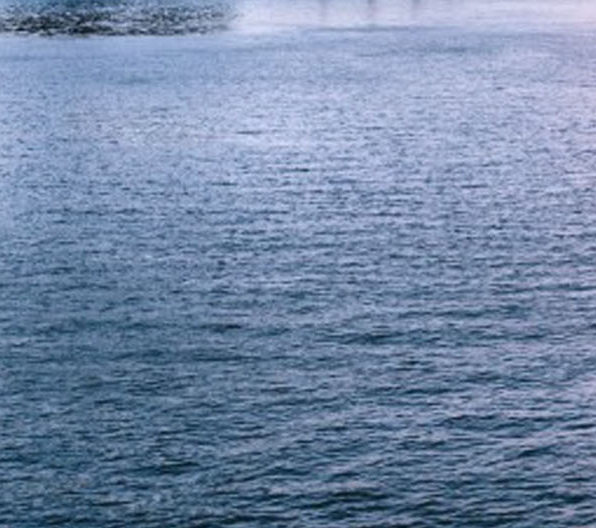 粉象生活能赚到钱吗