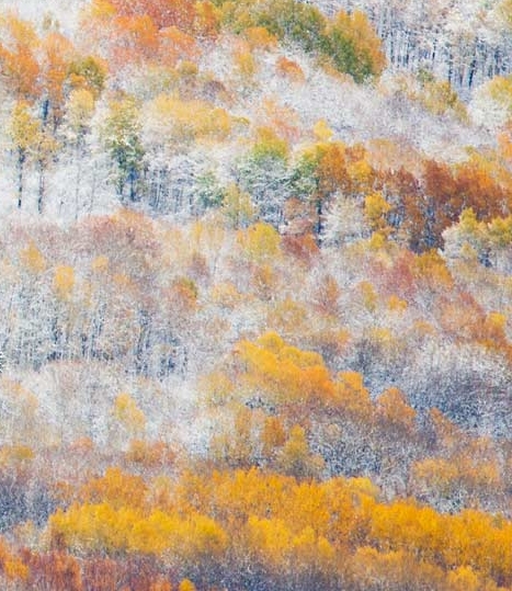 粉象生活下载app