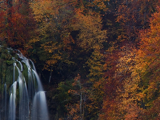 粉象生活新手注册