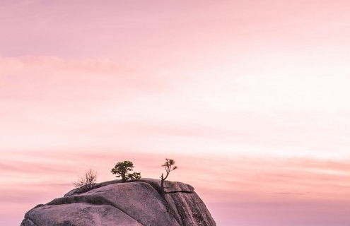 粉象生活怎么赚钱