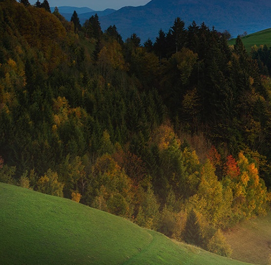 本来生活股东名单