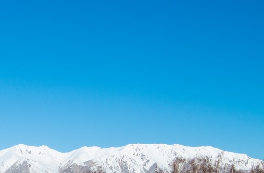 粉象生活标志图片