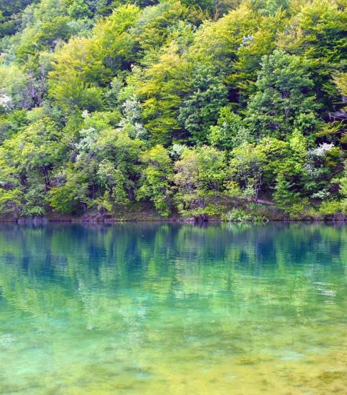 粉象生活如何开通抽奖