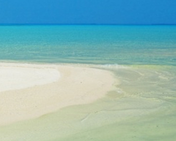 粉象生活怎么推广的