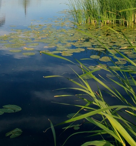 浙江制造品质生活