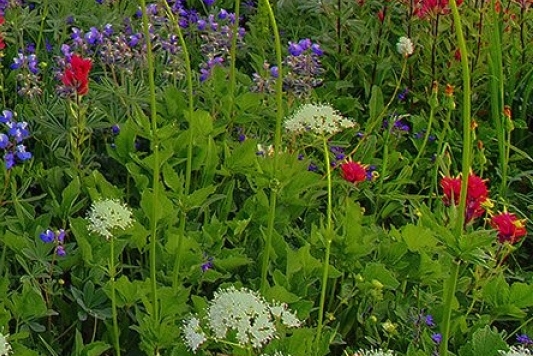 粉象生活日推广50人