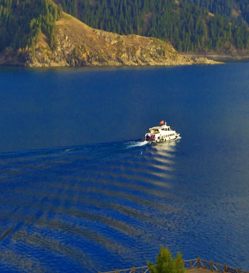 粉象生活相关app