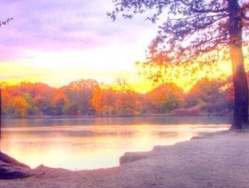 粉象生活邀请码