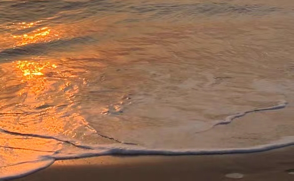 粉象生活邀请码