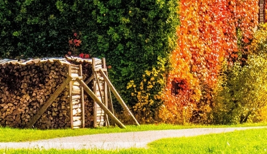 粉象生活邀请码