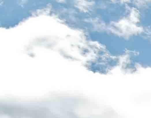 粉象生活的收益在哪里