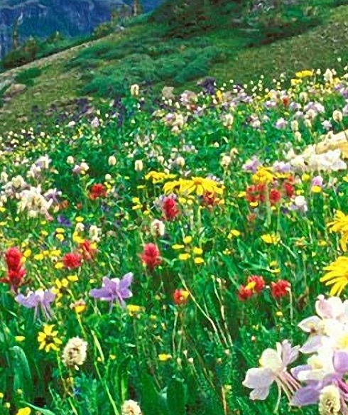 去丽江生活怎么样