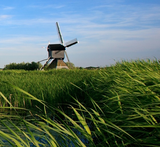 湖南悦享生活会员版