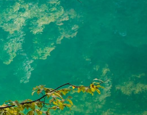 rio强爽8度酒后劲大吗