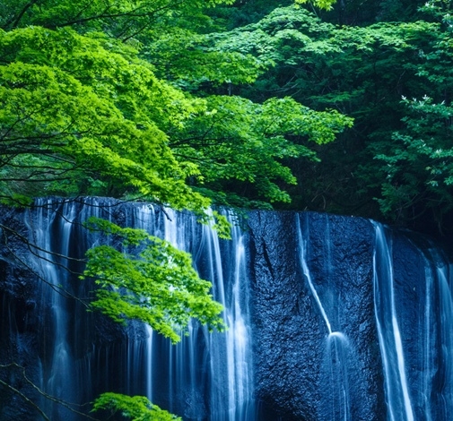粉象生活最好团队