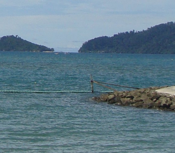 粉象生活如何设置提现免费