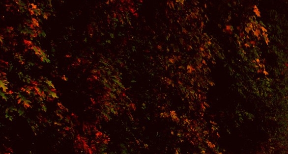 滨州彩生活物业