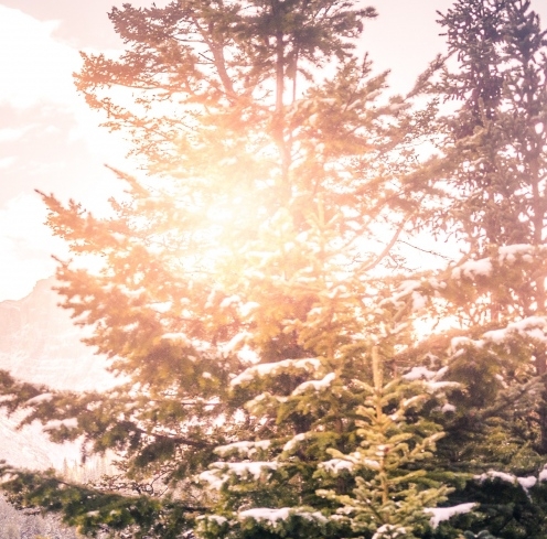 粉象生活下载官方正版