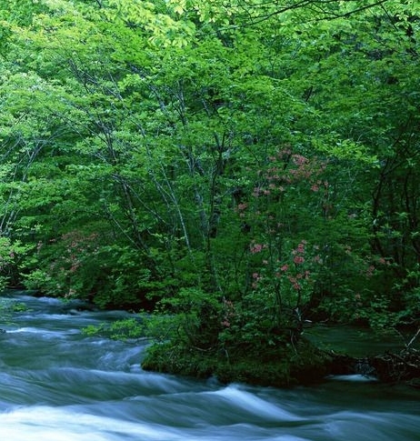 粉象生活怎么做任务