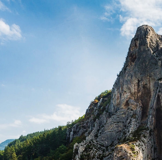 粉象生活能赚到钱吗