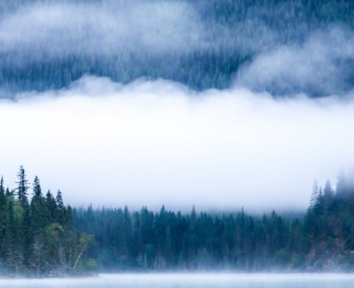 粉象生活里怎么分享给好友