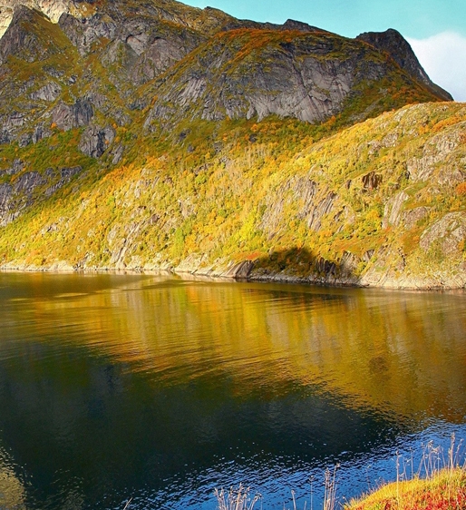 粉象生活邀请码